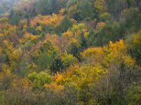Farbexplosion am Haindorfer Berg